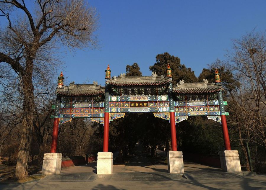 求offer的年輕人，擠滿了寺廟